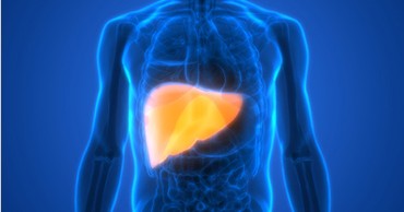 NASH and liver disease