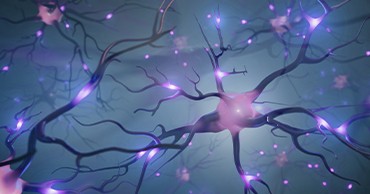 Media article: Biomarkers give clinical trials of neurodegenerative diseases a head start