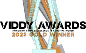 2023 Viddy Awards