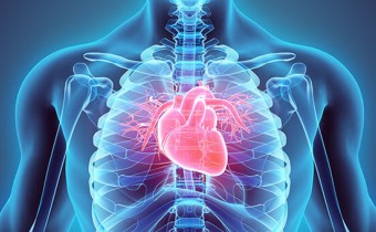 Thriving in value-based healthcare: A guide for cardiovascular device manufacturers